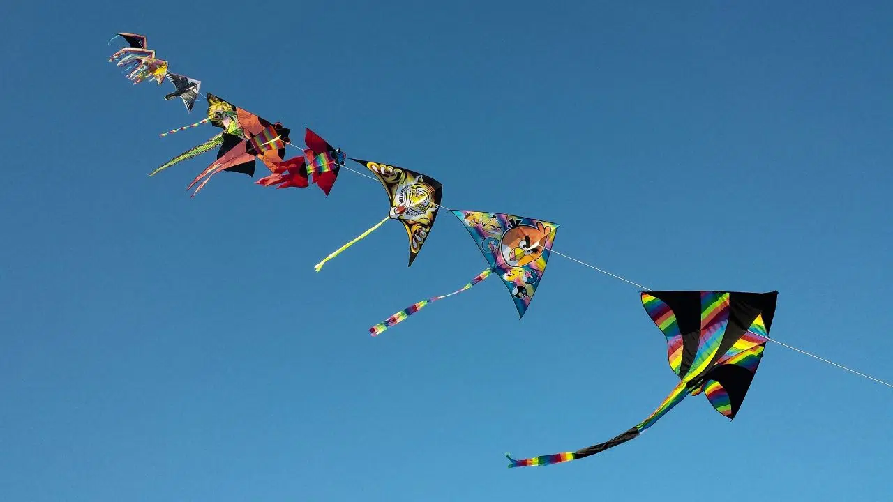 Journée mondiale du cerf-volant le 16 Août 2024 Journée mondiale du cerf-volant le 16 Août 2024