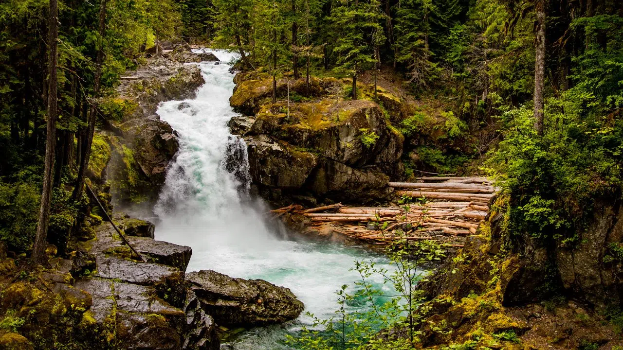 Leroy Merlin renforce son engagement RSE avec EFICIA pour réduire sa consommation d'eau de 20% d'ici 2026 Leroy Merlin renforce son engagement RSE avec EFICIA pour réduire sa consommation d'eau de 20% d'ici 2026