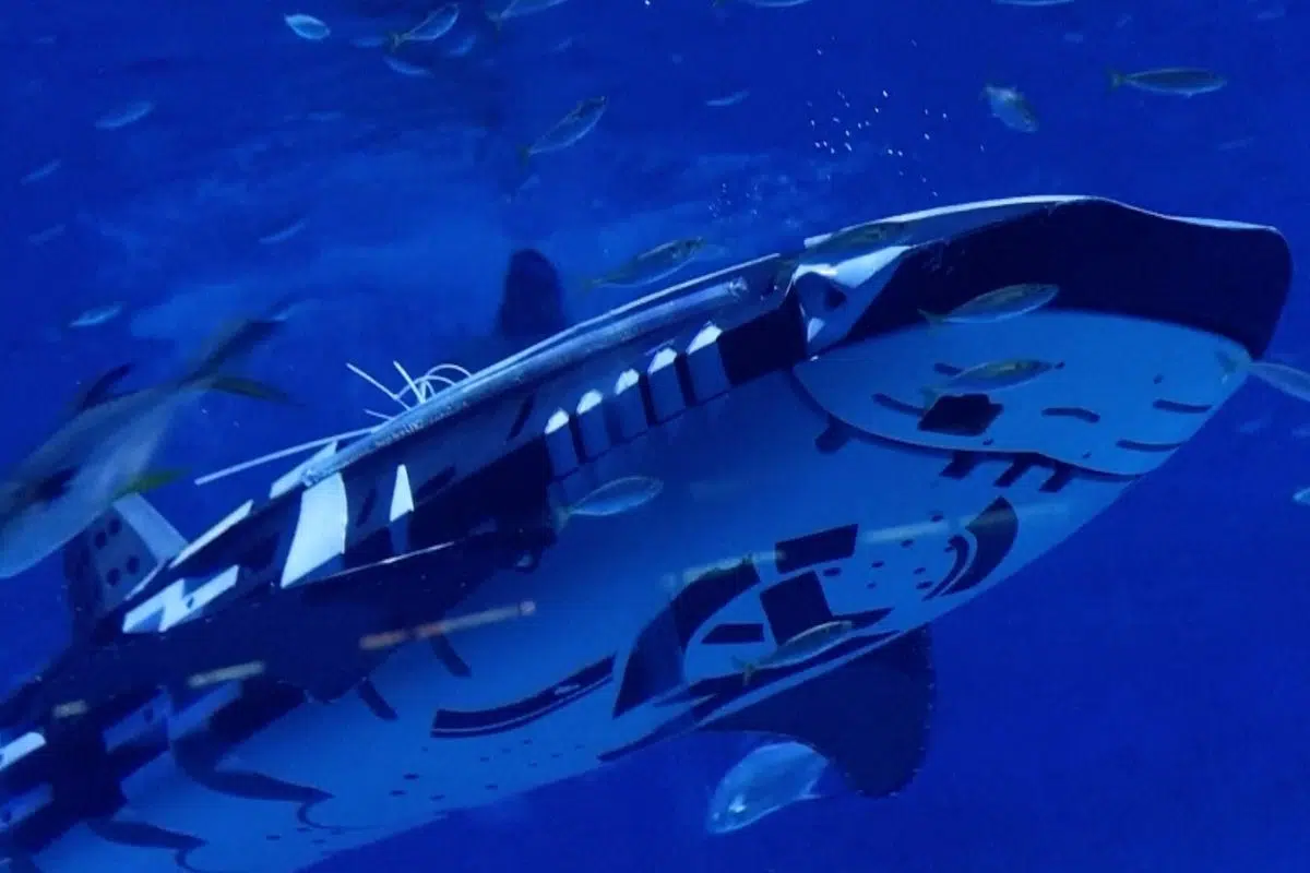 La Chine créé la surprise avec ce sous-marin bionique en forme de requin-baleine pour espionner les profondeurs La Chine créé la surprise avec ce sous-marin bionique en forme de requin-baleine pour espionner les profondeurs