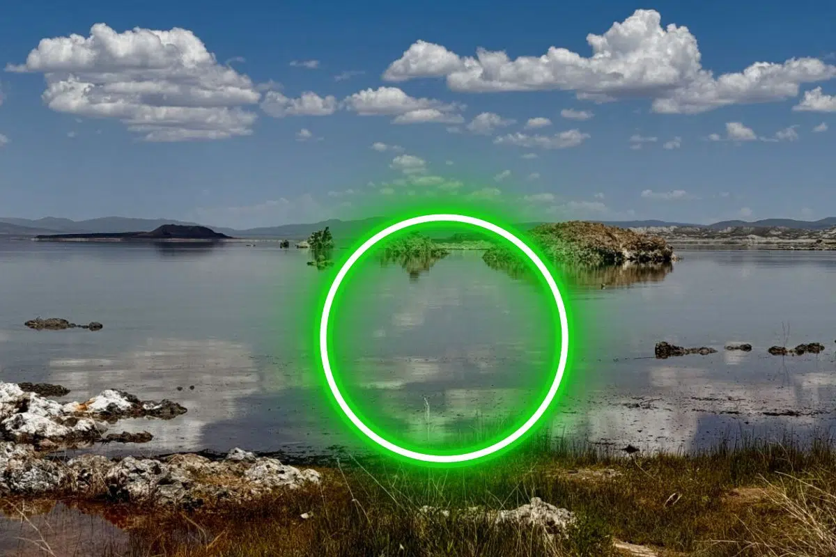 La découverte de cette mystérieuse créature dans un lac toxique pourrait révéler le secret des origines de la vie La découverte de cette mystérieuse créature dans un lac toxique pourrait révéler le secret des origines de la vie