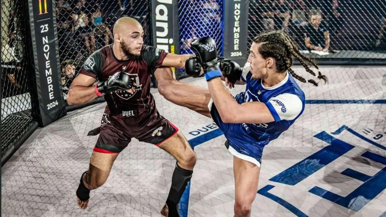 IA (Intelligence artificielle) et MMA Une révolution Française