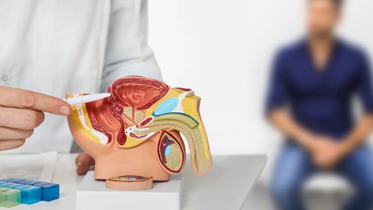 Journée européenne de la prostate le 20 septembre 2024 Journée européenne de la prostate le 20 septembre 2024