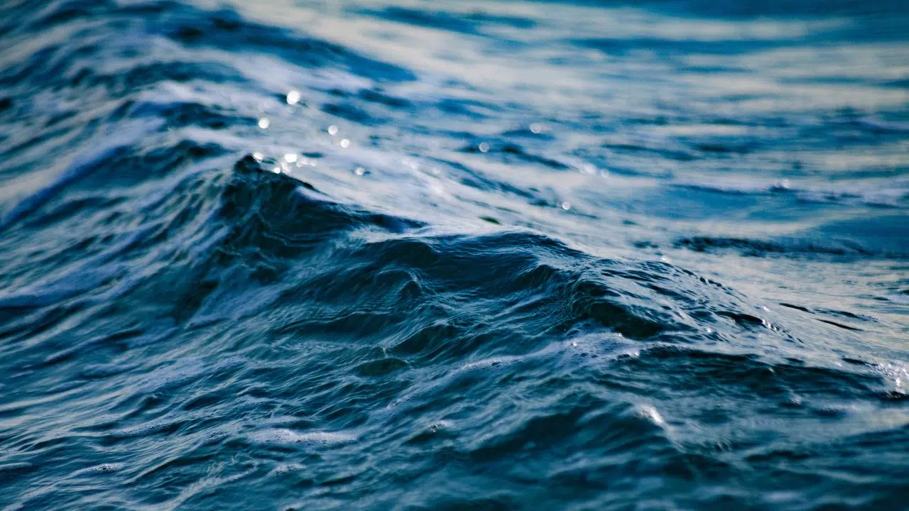 Journée mondiale de la mer 2024 Entre sécurité et souveraineté maritime Journée mondiale de la mer 2024 Entre sécurité et souveraineté maritime