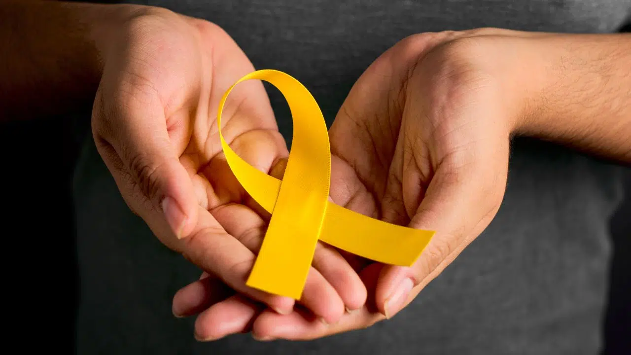 Journée mondiale de prévention du suicide le 10 septembre 2024 Journée mondiale de prévention du suicide le 10 septembre 2024