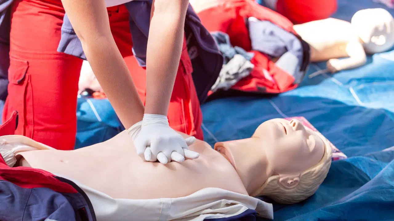 Journée mondiale des premiers secours le 9 Septembre 2024 Journée mondiale des premiers secours le 9 Septembre 2024