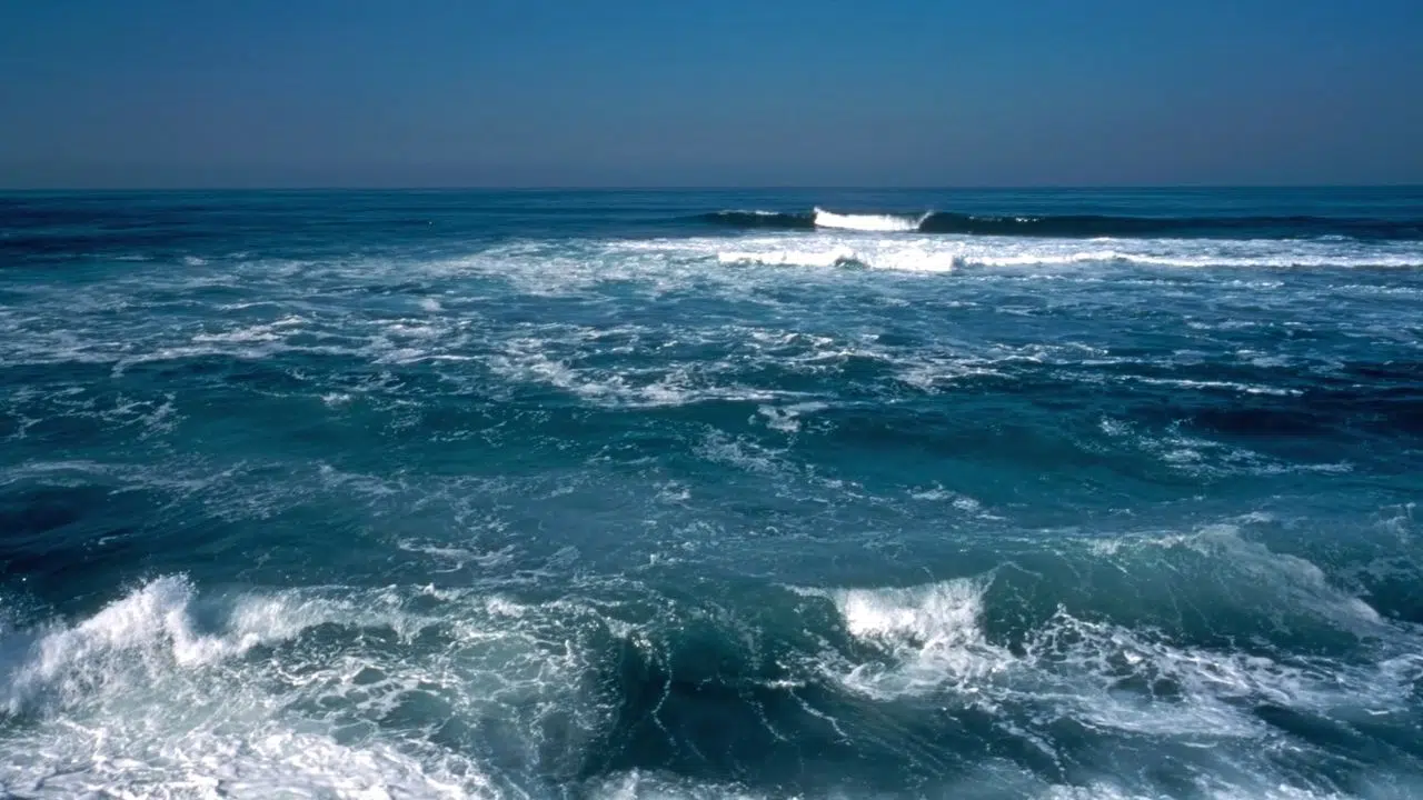 Turbines marémotrices Pourquoi elles sont à la fois une bénédiction et une menace Turbines marémotrices Pourquoi elles sont à la fois une bénédiction et une menace