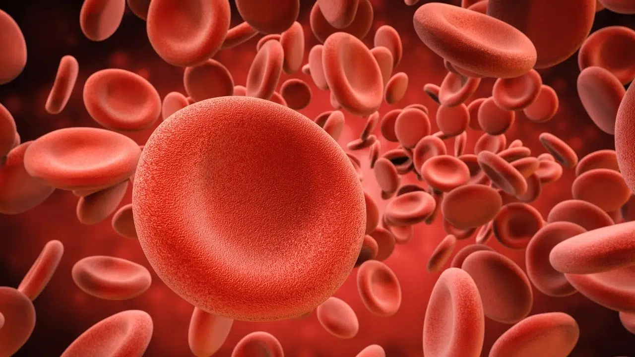 Un nouveau groupe sanguin découvert le MAL, un mystère résolu après 50 ans Un nouveau groupe sanguin découvert le MAL, un mystère résolu après 50 ans