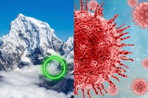 Découverte mystérieuse en Chine de 1700 virus âgés de de 40 000 ans