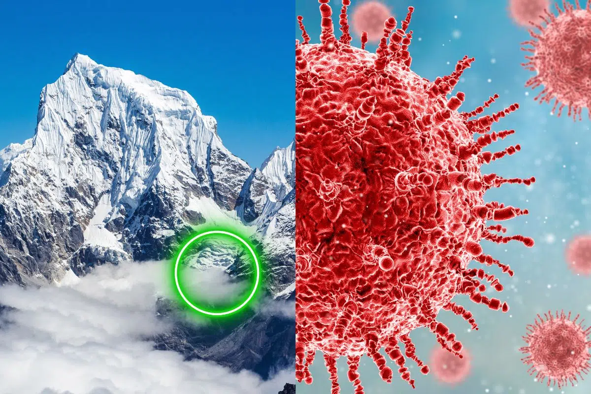 Découverte mystérieuse en Chine de 1700 virus âgés de de 40 000 ans Découverte mystérieuse en Chine de 1700 virus âgés de de 40 000 ans