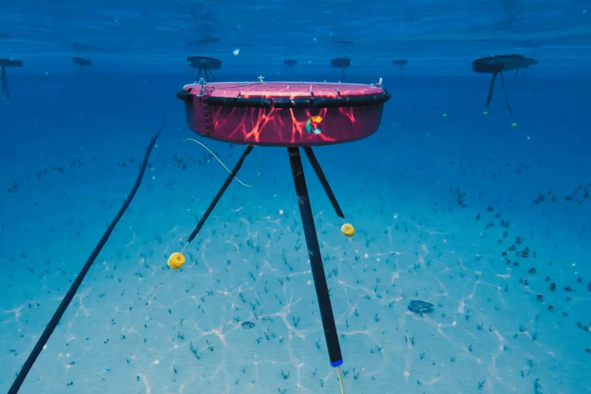 Non, ceci n'est pas un BBQ dans l'eau mais une nouvelle idée australienne pour couvrir 60% des besoins énergétiques des États-Unis Non, ceci n'est pas un BBQ dans l'eau mais une nouvelle idée australienne pour couvrir 60% des besoins énergétiques des États-Unis