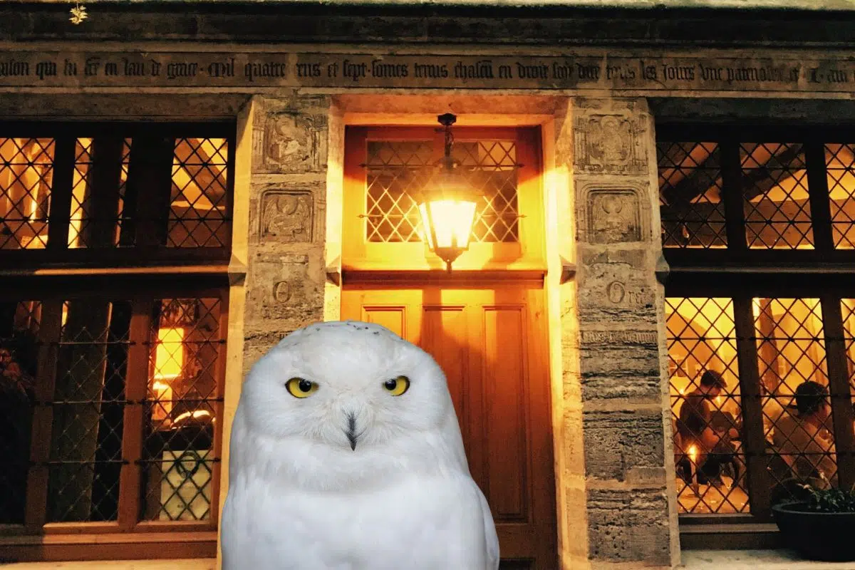 La plus vieille maison de Paris a 617 ans et a appartenu à un homme très important pour les fans d'Harry Potter La plus vieille maison de Paris a 617 ans et a appartenu à un homme très important pour les fans d'Harry Potter