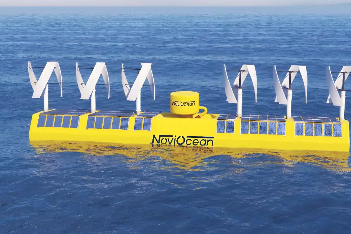 La Suède a créé une surprise et un engouement pour ce nouveau La Suède a créé une surprise et un engouement pour ce nouveau