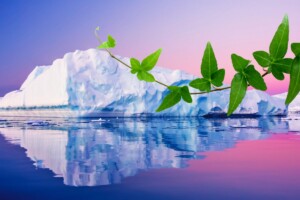 L’Antarctique se transforme et personne n'avait anticipé cette croissance de 1000% en 40 ans de la couverture végétale d'un géant glacé et de ses conséquences