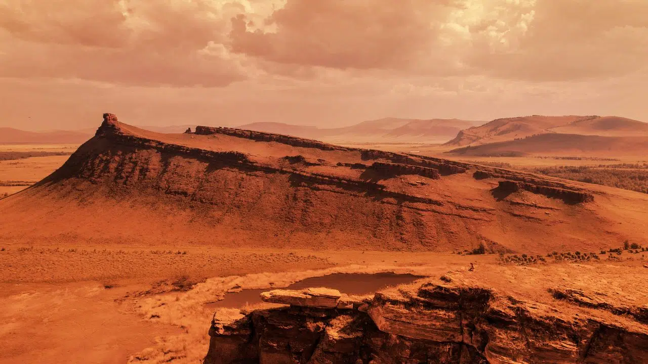 L'incroyable découverte de lichens prêts à coloniser Mars