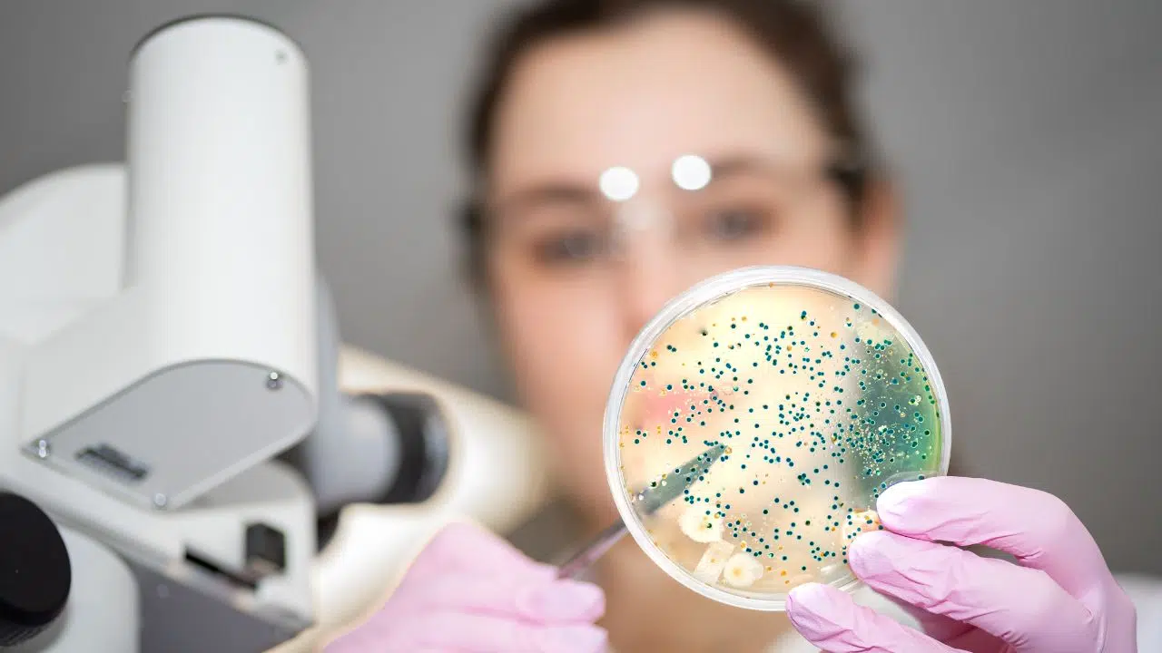 Nouvel outil d'évaluation des risques biologiques par l'Institut National de Recherche et de Sécurité (INRS)