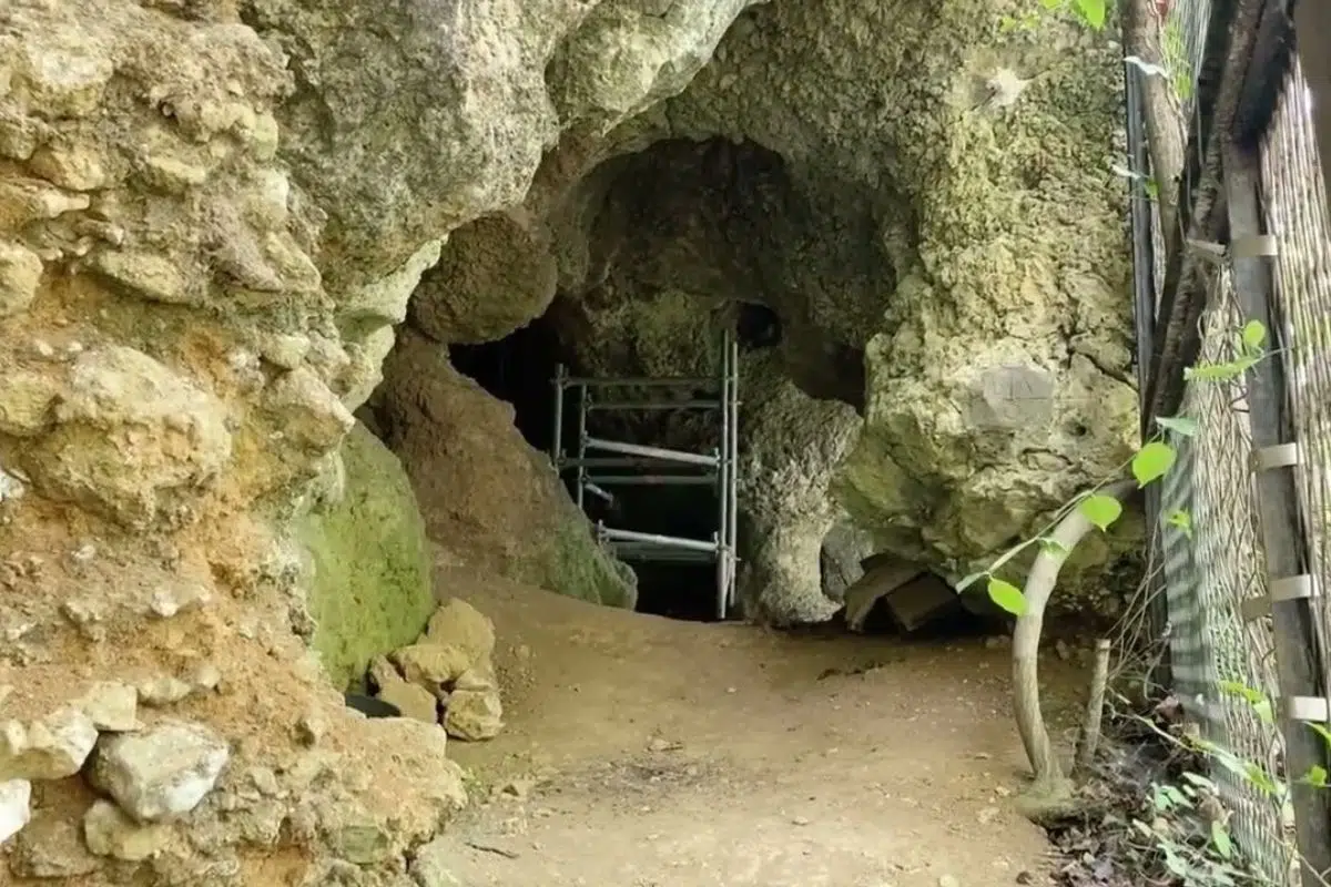 C’est une des plus vieilles grottes du monde, elle est 10 fois plus âgée que la grotte de Lascaux et elle se trouve près des Pyrénées