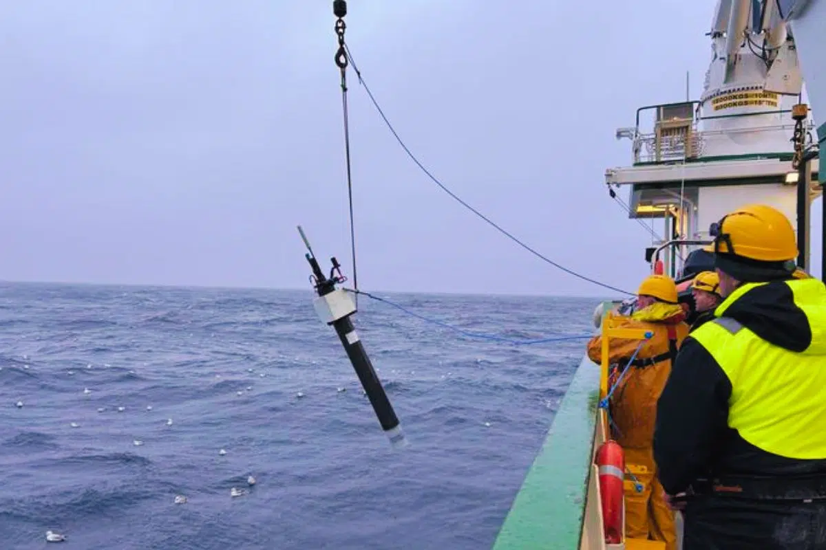 Ce robot canadien découvre l'équivalent du poids de 250 millions d'éléphants sous la surface des océans en analysant la masse de phytoplancton terrestre Ce robot canadien découvre l'équivalent du poids de 250 millions d'éléphants sous la surface des océans en analysant la masse de phytoplancton terrestre