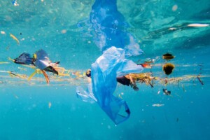 Les scientifiques ont mis la main sur le graal du XXe siècle avec ce un nouveau type de plastique qui va 15 fois plus vite que le papier pour se décomposer