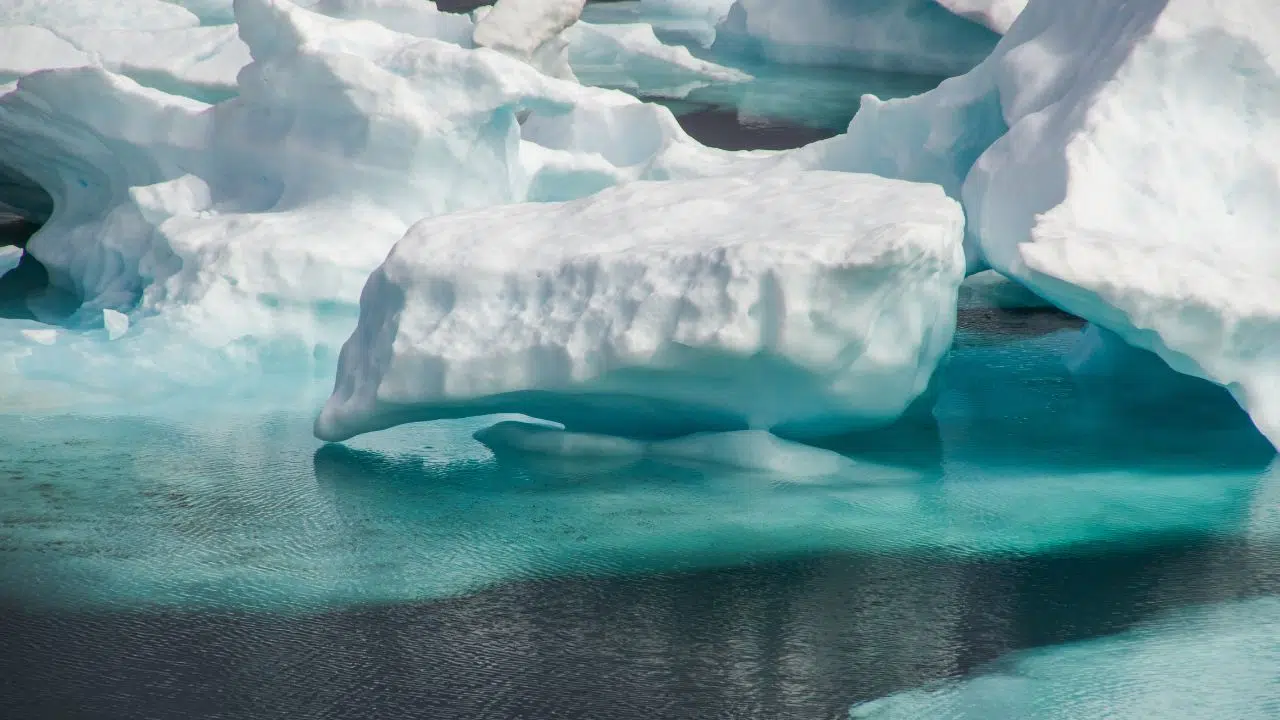 Le robot sous-marin Seaglider perdu en 2022 à été retrouvé Ses données montrent l'effet des courants sous-marins chauds circulant à proximité des glaciers Le robot sous-marin Seaglider perdu en 2022 à été retrouvé Ses données montrent l'effet des courants sous-marins chauds circulant à proximité des glaciers