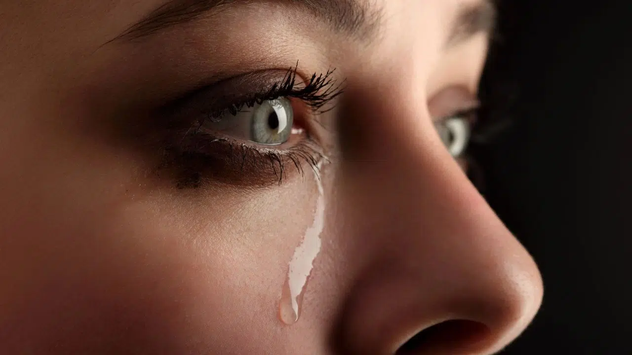 Les larmes des femmes un signal chimique pour réduire l'agressivité masculine La science explique...