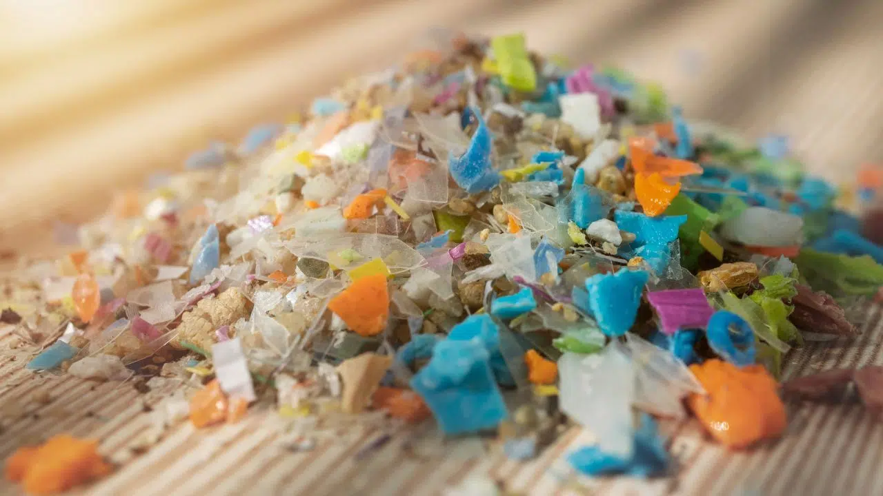 Les nanoplastiques Une menace pour l'efficacité des antibiotiques Les nanoplastiques Une menace pour l'efficacité des antibiotiques