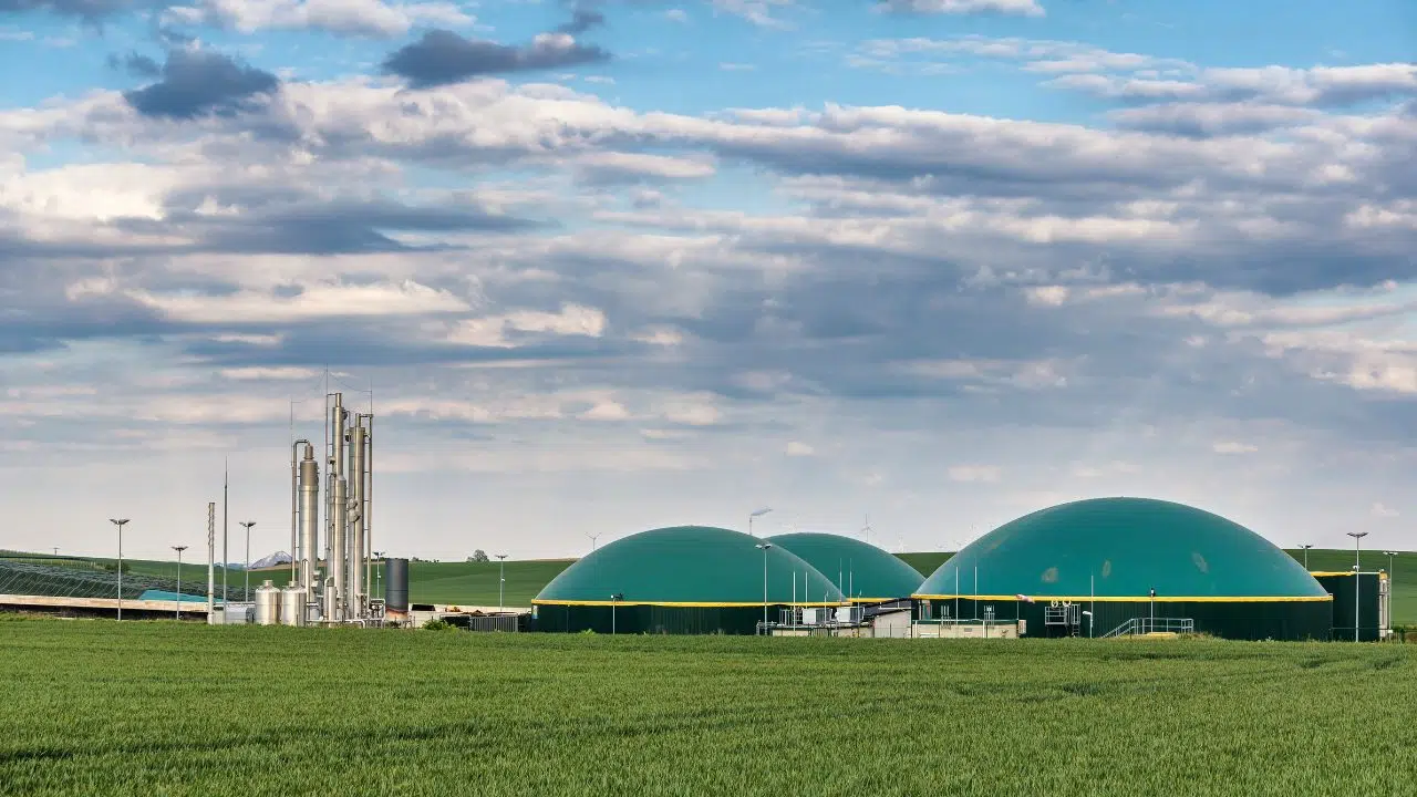 L'impact de la construction de la centrale bioénergie du Ricanto sur la transition énergétique en Corse L'impact de la construction de la centrale bioénergie du Ricanto sur la transition énergétique en Corse