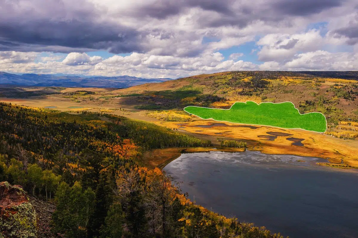 Le plus grand être vivant sur Terre est également le plus vieux avec un âge estimé 40 fois celui des Pyramides Le plus grand être vivant sur Terre est également le plus vieux avec un âge estimé 40 fois celui des Pyramides