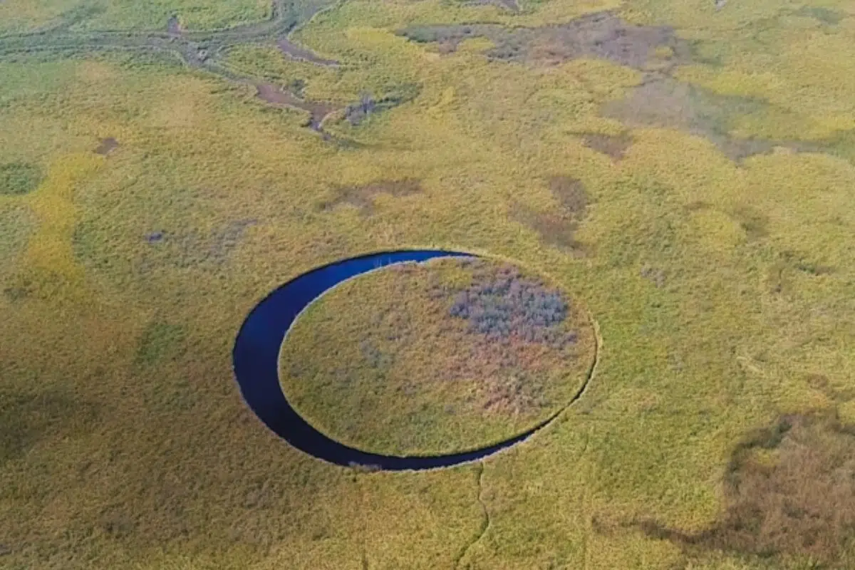 La découverte de cet La découverte de cet