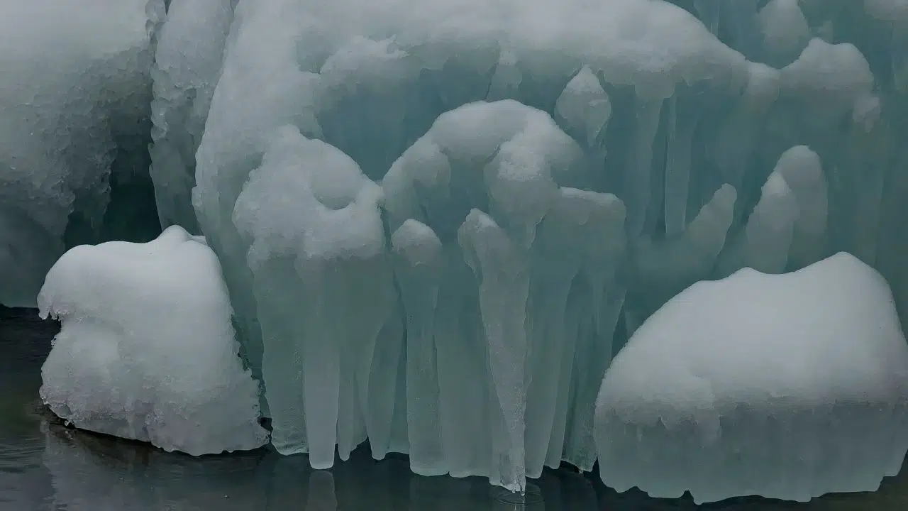 Antarctique, cachée depuis des millions d'années sous la glace les scientifiques ont découvert une forme de vie inconnue Antarctique, cachée depuis des millions d'années sous la glace les scientifiques ont découvert une forme de vie inconnue