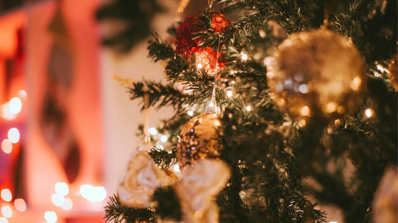 C'est le sapin de noël le plus cher de l'histoire à 13,5 millions de dollars génie ou folie C'est le sapin de noël le plus cher de l'histoire à 13,5 millions de dollars génie ou folie