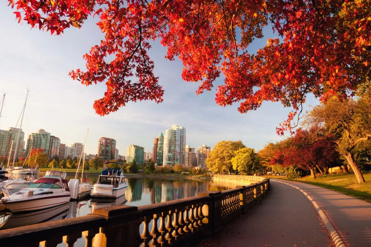 Un Français en figure de proue de ce chantier colossal à 3,15 milliards d'euros dans la 3e agglomération canadienne avec 2,5 millions d’habitants : Vancouver Un Français en figure de proue de ce chantier colossal à 3,15 milliards d'euros dans la 3e agglomération canadienne avec 2,5 millions d’habitants : Vancouver