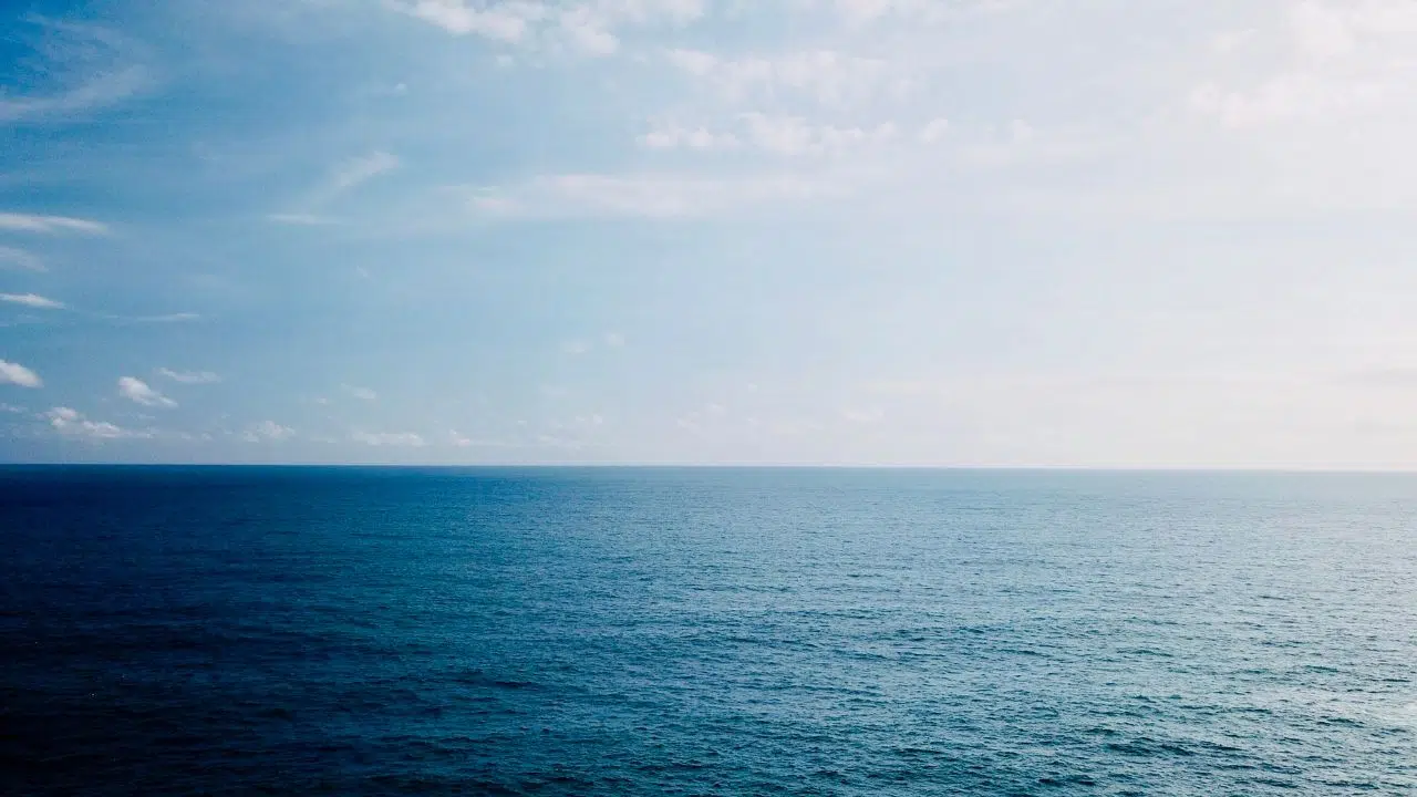 Un nouveau prédateur (Amphipode géant) découvert dans les profondeurs de la fosse d'Atacama Un nouveau prédateur (Amphipode géant) découvert dans les profondeurs de la fosse d'Atacama