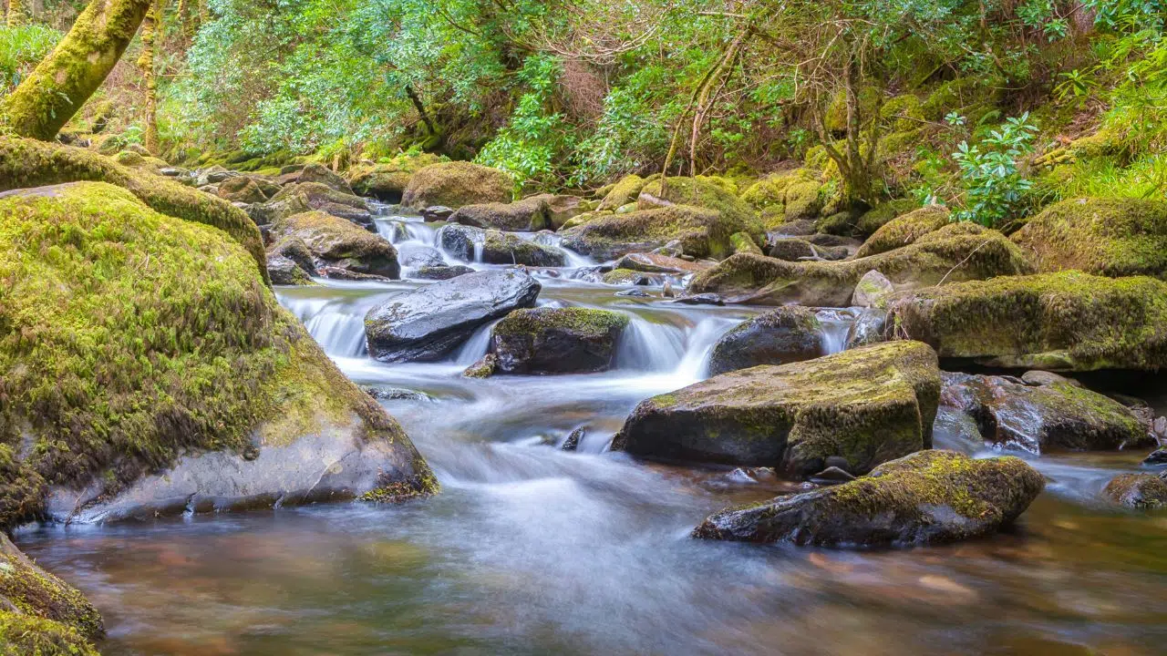 700 millions d’euros ont été mobilisés par l’agence de l’eau Seine-Normandie pour soutenir 4 052 projets en 2024 700 millions d’euros ont été mobilisés par l’agence de l’eau Seine-Normandie pour soutenir 4 052 projets en 2024