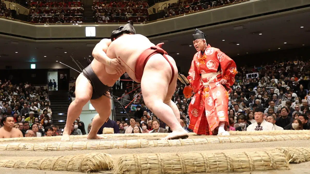 Après plus de 30 ans d’absence, les sumos reviennent à Paris