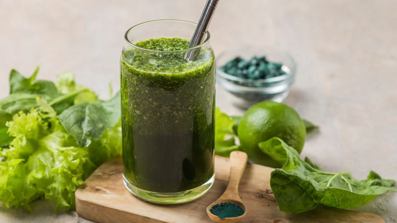 Chlorella vulgaris la microalgue qui pourrait révolutionner notre alimentation et remplacer la viande Chlorella vulgaris la microalgue qui pourrait révolutionner notre alimentation et remplacer la viande