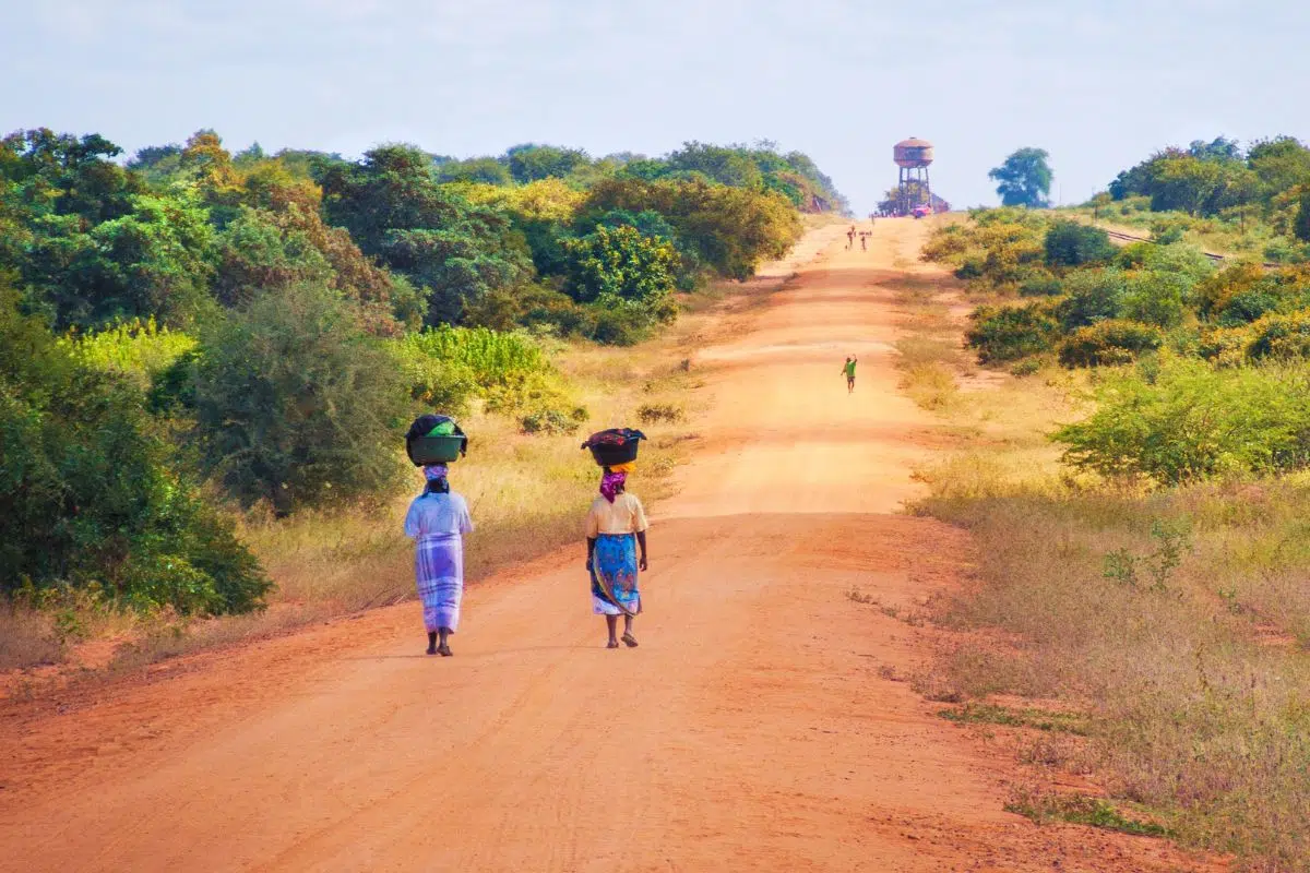 Nourrir 582 millions d'humains en 2050 avec du CO2 ? Cette découverte chinoise permet de le transformer en protéine comestible