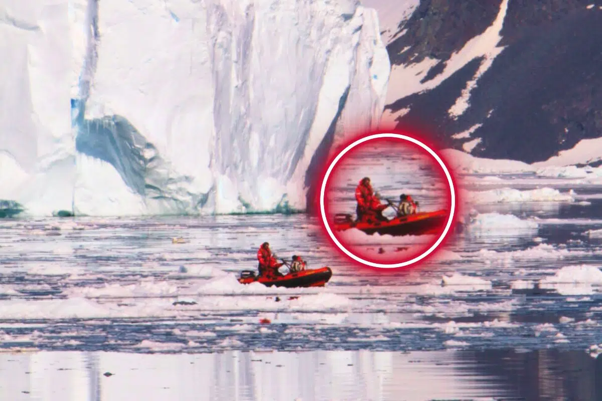 15 000 € pour travailler comme cuisinier ou charpentier en Antarctique pour 6 mois ? La British Antarctic Survey recrute dans tous les corps de métiers