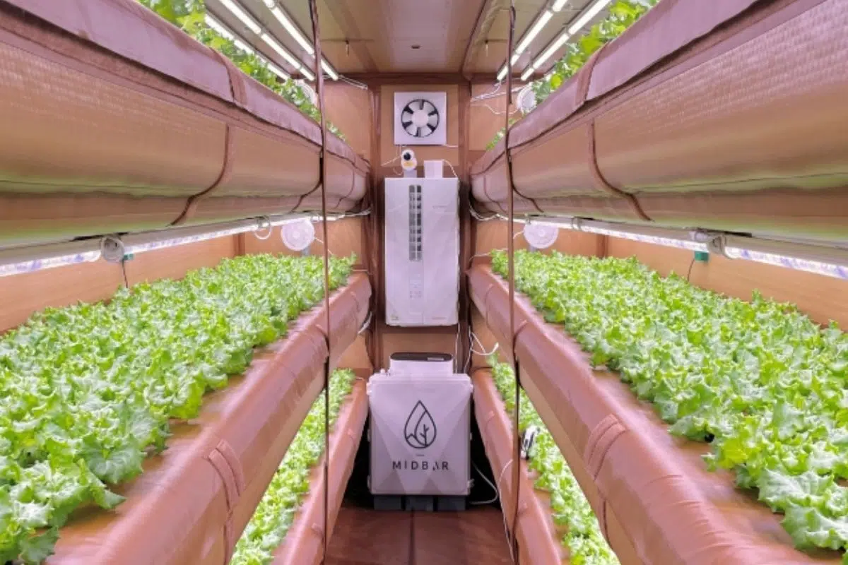 Des fermes hydroponiques comme sur Tatooine dans Star-Wars ? C'est le pari fou de cette entreprise pour réduire de 90% leurs besoins en eau Des fermes hydroponiques comme sur Tatooine dans Star-Wars ? C'est le pari fou de cette entreprise pour réduire de 90% leurs besoins en eau