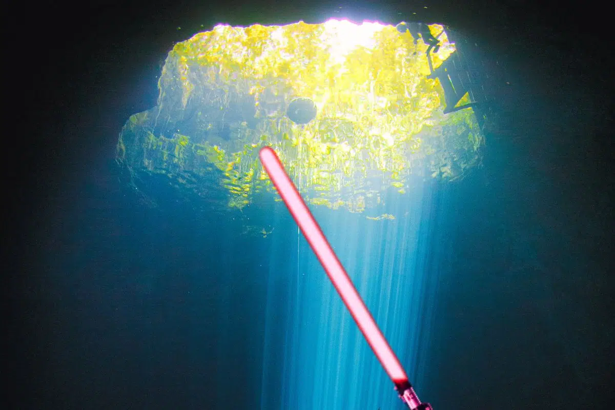 Le plus iconique personnage de Star-Wars vient de donner son nom à ce Le plus iconique personnage de Star-Wars vient de donner son nom à ce