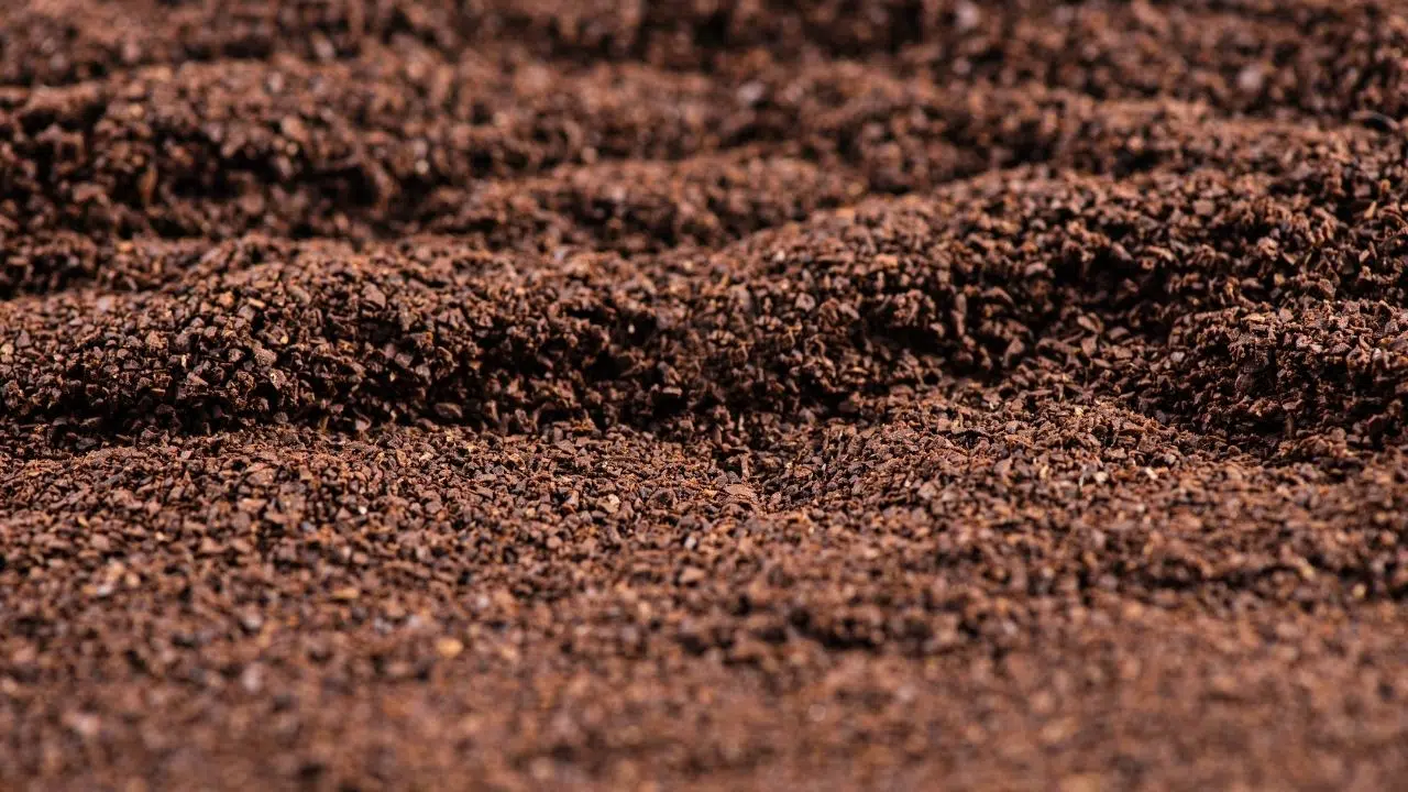 Marc de café la solution innovante pour l'industrie du béton Marc de café la solution innovante pour l'industrie du béton