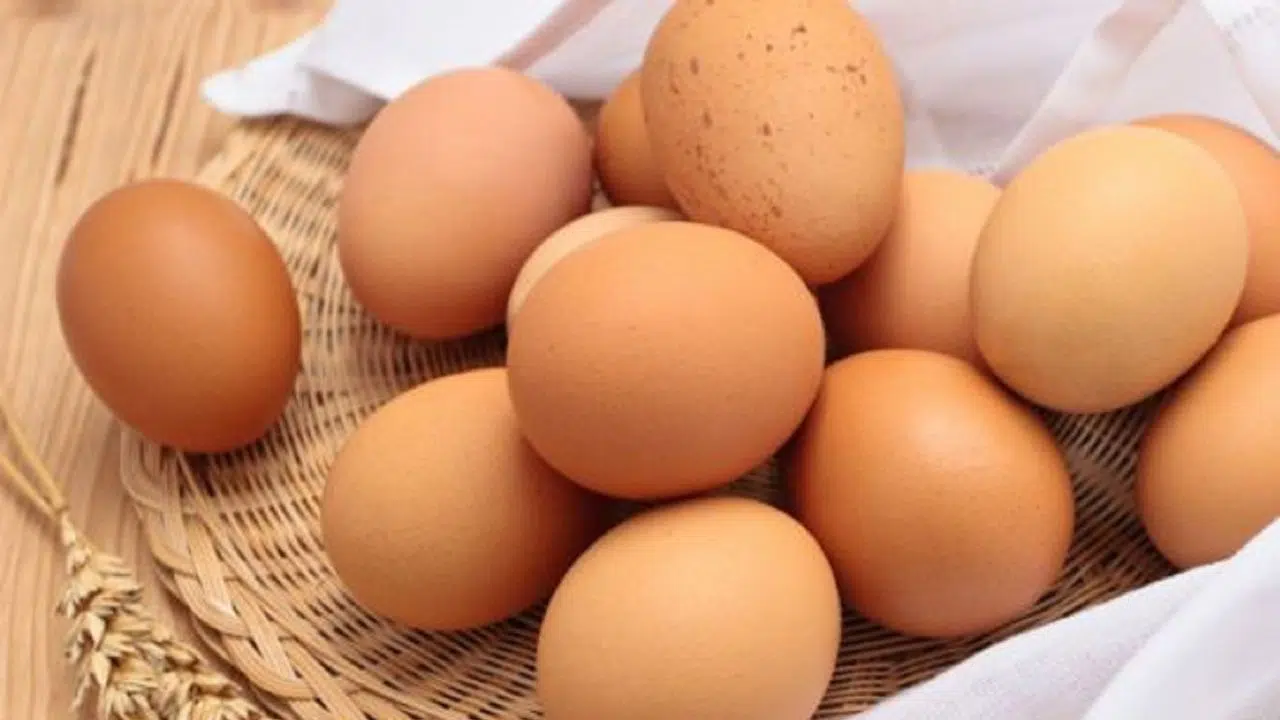 Peut-on attraper la grippe aviaire en mangeant des œufs Peut-on attraper la grippe aviaire en mangeant des œufs