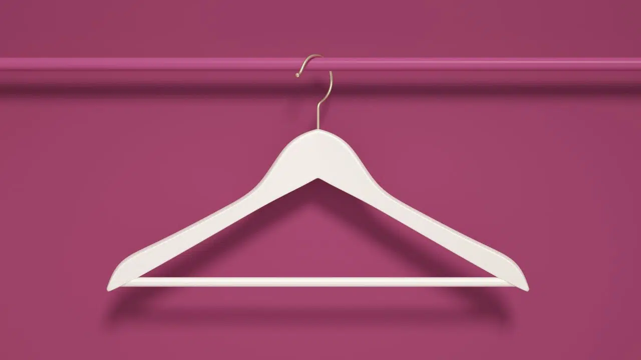 Shein devient l'enseigne de mode préférée des Français en 2024 Shein devient l'enseigne de mode préférée des Français en 2024