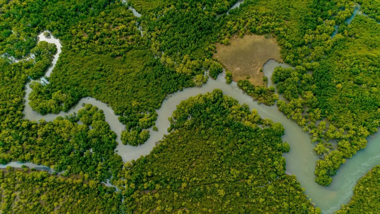 Biodiversité en danger la NASA teste des technologies de surveillance inédites Biodiversité en danger la NASA teste des technologies de surveillance inédites