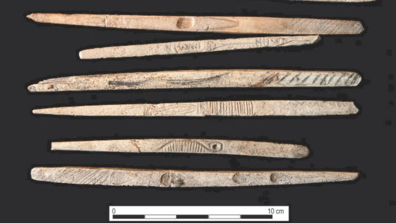 Des preuves de cannibalisme il y a 18 000 ans découvertes en Pologne Des preuves de cannibalisme il y a 18 000 ans découvertes en Pologne