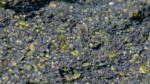 Des scientifiques découvrent un moyen peu coûteux de piéger le carbone à l'aide de roches ordinaires