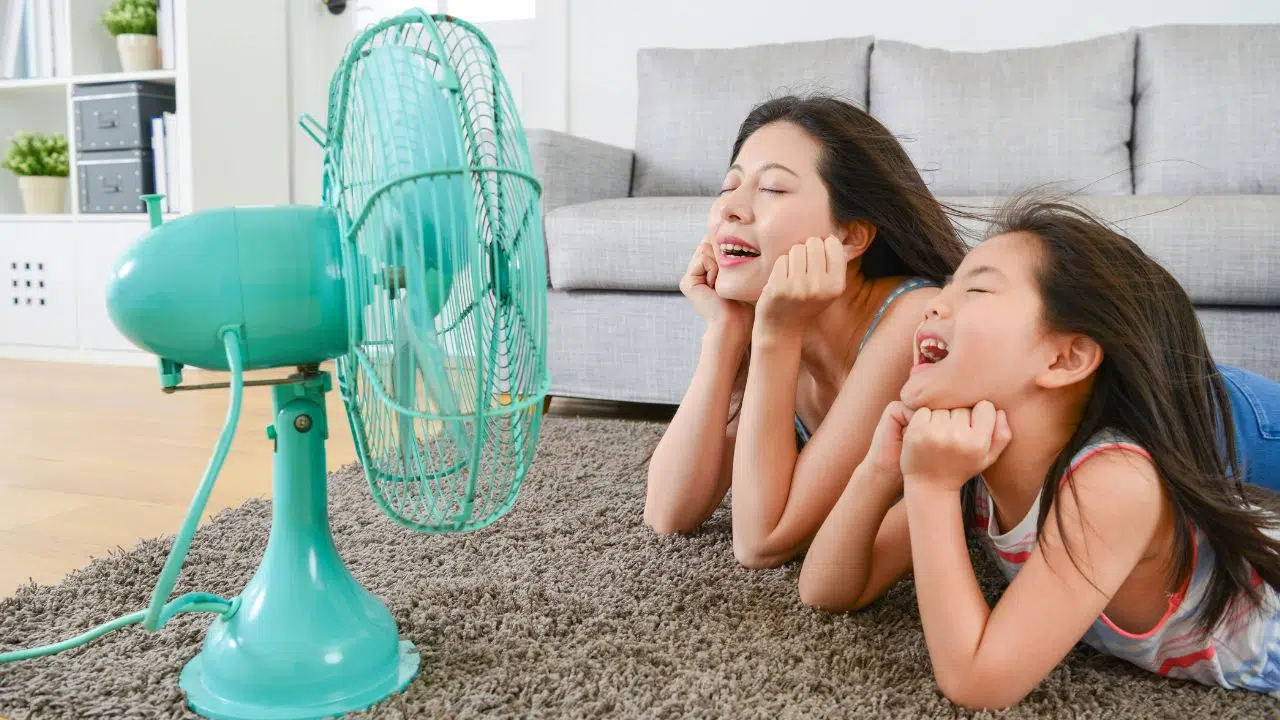 Finalement les ventilateurs sont inefficaces face aux vagues de chaleur un danger pour les seniors Finalement les ventilateurs sont inefficaces face aux vagues de chaleur un danger pour les seniors