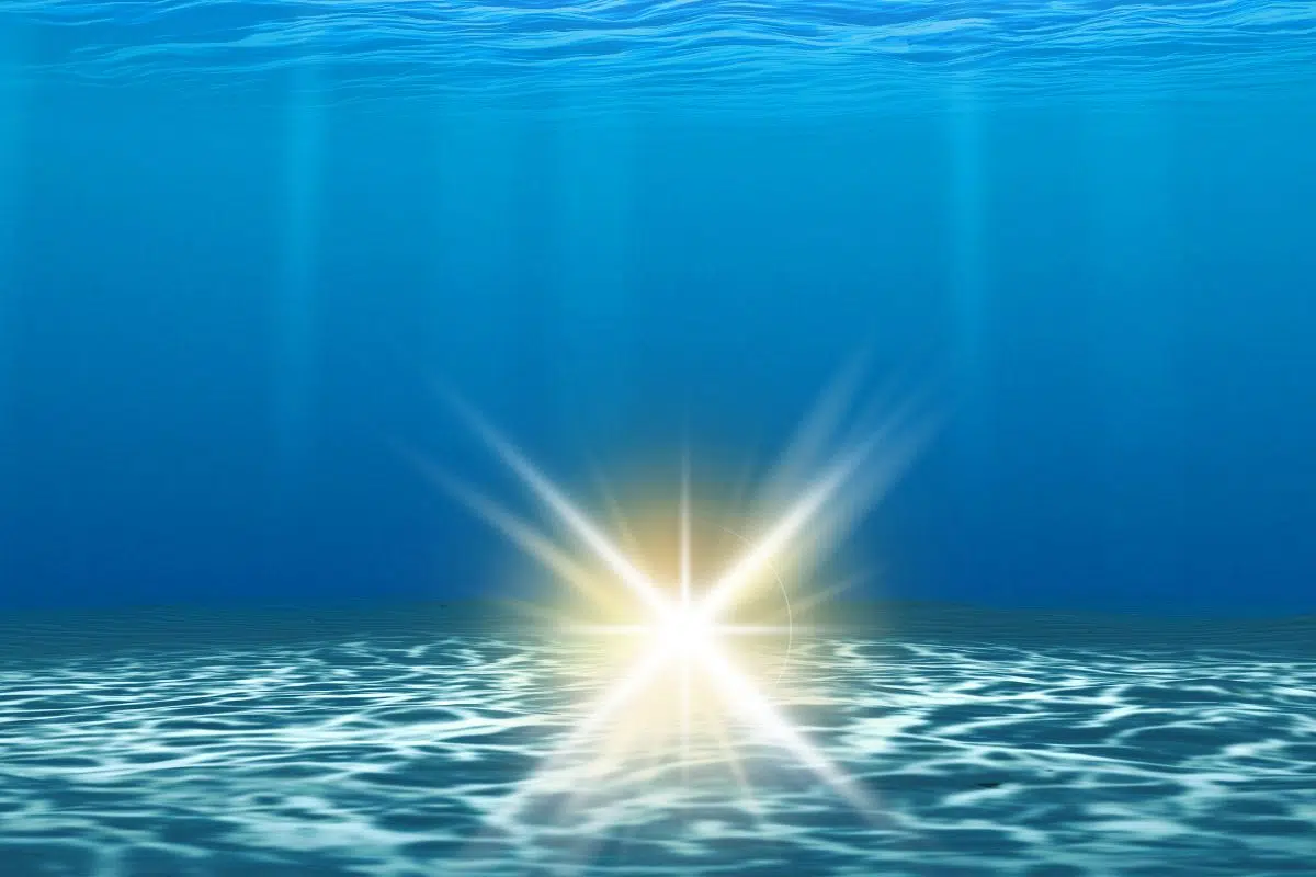 Que s'est-il passé il y a 10 millions d'années dans nos océans pour expliquer cette anomalie détectée par les scientifiques ? Que s'est-il passé il y a 10 millions d'années dans nos océans pour expliquer cette anomalie détectée par les scientifiques ?