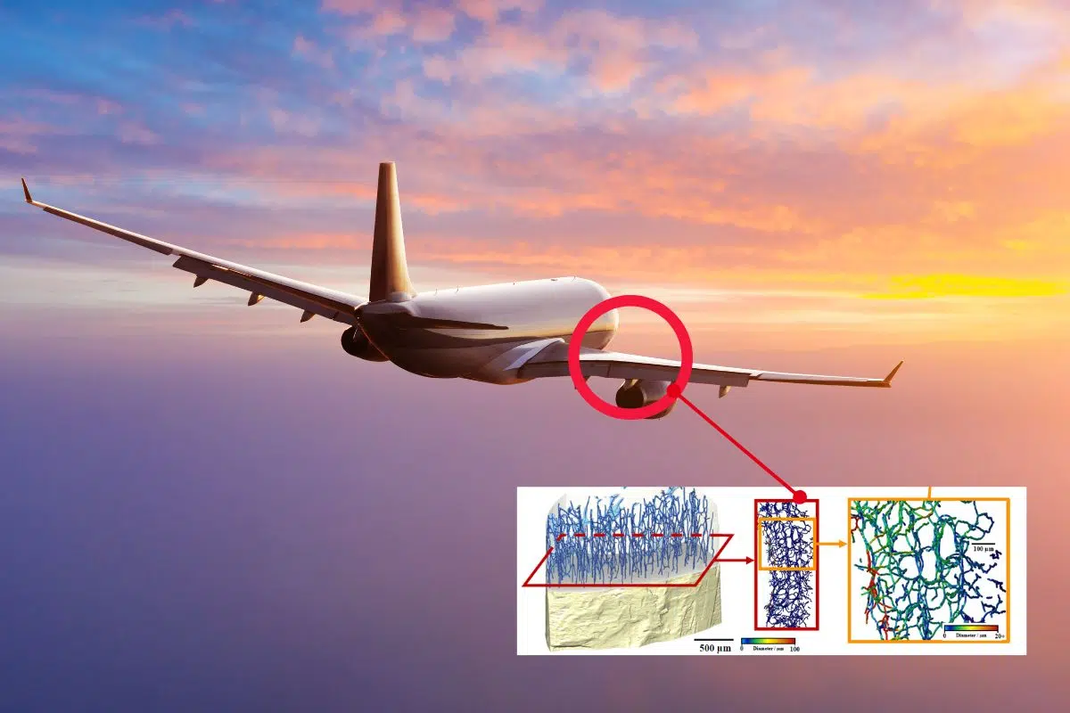 Ce cousin des dinosaures pourrait inspirer de nouveaux matériaux pour avion grâce à la découverte d’une structure complexe dans ses os Ce cousin des dinosaures pourrait inspirer de nouveaux matériaux pour avion grâce à la découverte d’une structure complexe dans ses os