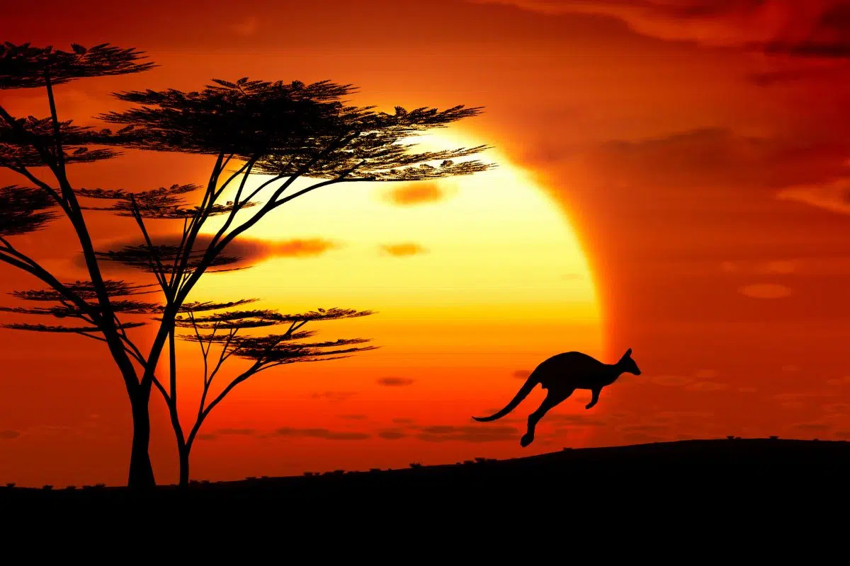 L'Australie en plein dilemme se déchire sur la question de son avenir énergétique avec un invité de dernière minute : le nucléaire L'Australie en plein dilemme se déchire sur la question de son avenir énergétique avec un invité de dernière minute : le nucléaire