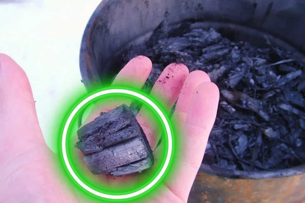 La France s'intéresse de très près à ce nouvel La France s'intéresse de très près à ce nouvel